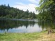 Thumbs/tn_b  Le lac de Blanchemer.jpg